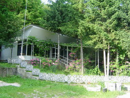 Більярдн (Енергетик, Закарпаття)